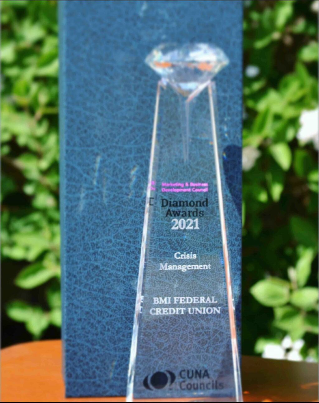 diamond award for BMI FCU